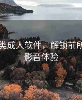 国产另类成人软件，解锁前所未有的影音体验