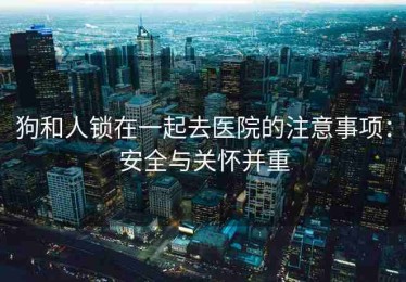 狗和人锁在一起去医院的注意事项：安全与关怀并重