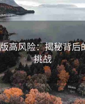 9.1免费版高风险：揭秘背后的价值与挑战