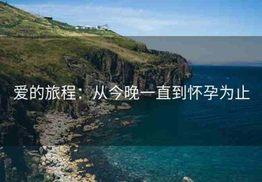 爱的旅程：从今晚一直到怀孕为止
