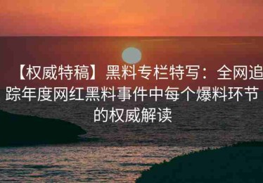 【权威特稿】黑料专栏特写：全网追踪年度网红黑料事件中每个爆料环节的权威解读