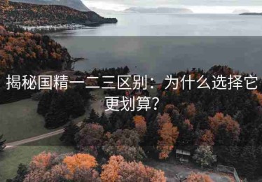 揭秘国精一二三区别：为什么选择它更划算？