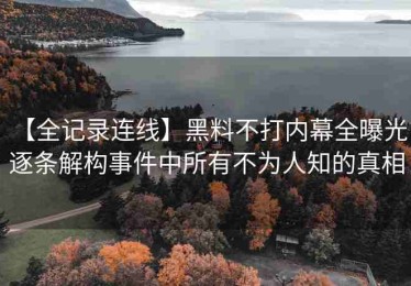 【全记录连线】黑料不打内幕全曝光：逐条解构事件中所有不为人知的真相